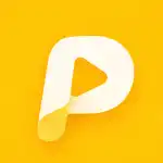 Pudym
