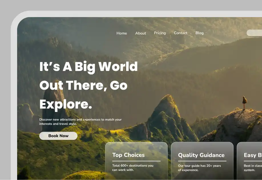 Travel Software Development Solutions