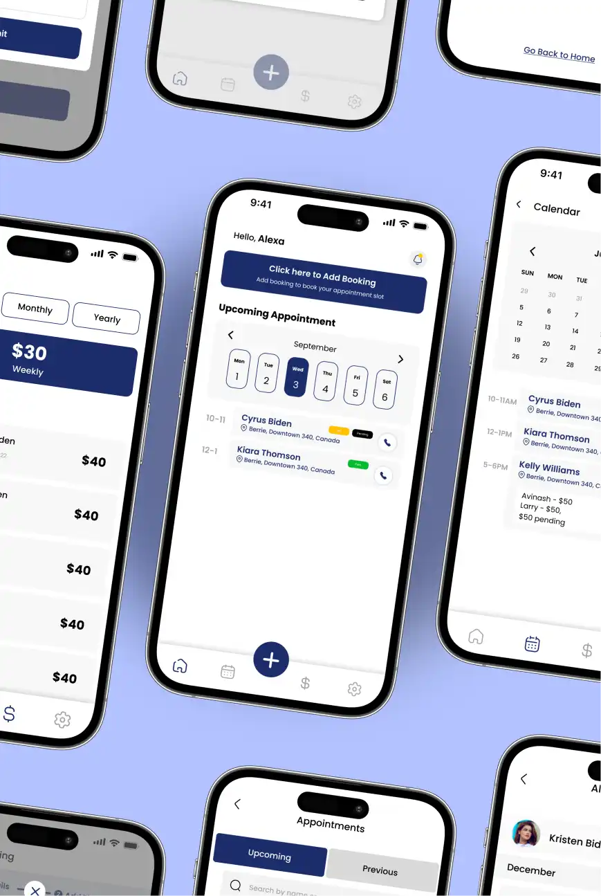Ziba booking app screens